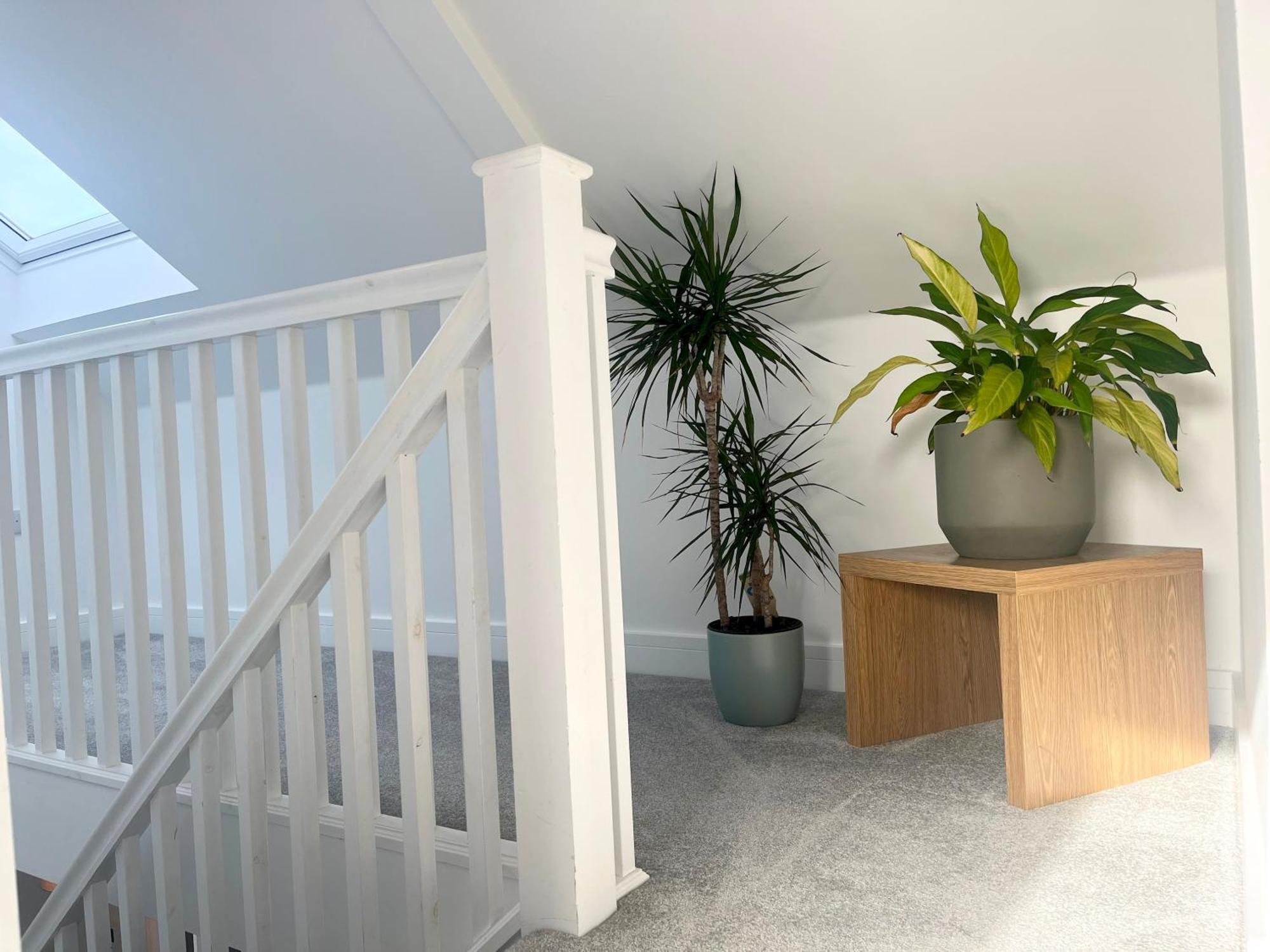 Apartamento Stunning Penthouse In Penzance "Amazing Sea Views" Exterior foto